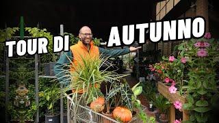 Tour NOVITÀ ed OFFERTE di Ottobre e Novembre [upl. by Ignazio]