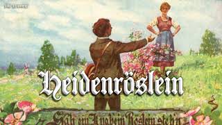 Heidenröslein German folk songEnglish translation [upl. by Phira]