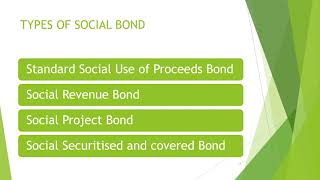 9 Sustainability Climate Risk chapters 2630 GreenSocialSustainability bonds Financial impact [upl. by Eustis]