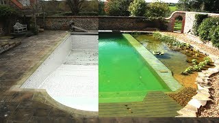 Converting a chlorine pool to Organic Pool in 1 minute [upl. by Cavanagh774]