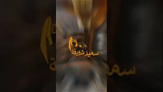 تنجيد عربية جامبو جديدة مواصفات سمير شويقة سروجي السنبلاوين [upl. by Eirameinna]