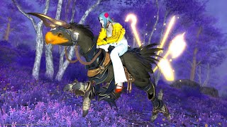 FFXIV  All Crafted Ex Trials Bardings ARRHWSBSHB [upl. by Weinhardt]