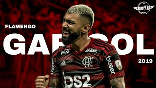 Gabigol ● Artilheiro Da América ● Skills Goals amp Assists  2019 HD [upl. by Yntrok]