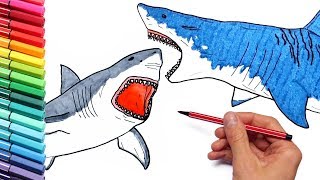 Megalodon VS Shark Drawing and Coloring Pages for Children  How To Draw Sea Animals [upl. by Azaleah]