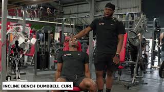 Exercise Tutorial  Dumbbell Curl Incline Bench [upl. by Julina]