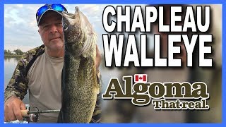 Chapleau River Walleye New season teaser [upl. by Seline708]