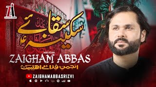 Saqa e Sakina sa  Zaigham Abbas  Nohay 2024  Muharram 20241446 [upl. by Ode616]