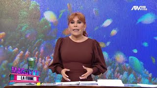 Magaly TV La Firme Programa del 12 de Junio de 2024 [upl. by Pearson267]