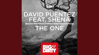 The One feat Shena Vicetone Remix [upl. by Aissela229]