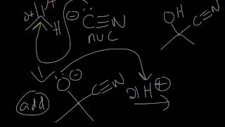 Cyanohydrin and Geminal Diol Formation [upl. by Cibis]