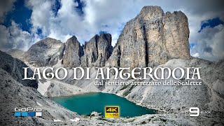 Sentiero attrezzato delle SCALETTE fino al Lago di Antermoia  Catinaccio  Dolomiti 4K [upl. by Pazice401]