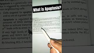 what is apoptosis apoptosis pathwaygeneticsbiologyzoologyshortsfeed shortsviral [upl. by Niveek]