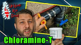 One Less Pond Return amp How To Safely Use ChloramineT [upl. by Zetniuq371]