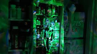 SKELETON IN MY CLOSET ghostlight halloweendecorations halloween spooky halloweencostume skull [upl. by Aniratak]