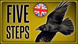 How to befriend CROWS in 5 easy steps tutorial parody [upl. by Durand]