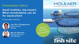 The Fish Site Webinar Small bubbles big impact  What nanobubbles can do for aquaculture [upl. by Alastair342]