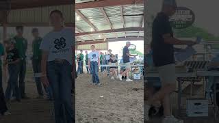 Butler County Fair 2024 Subsidty Sale [upl. by Nezam754]