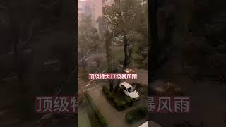 无风不起浪，树大却招风，见怪不怪，没有风怎么会有雨的出现强对流天气 台风 暴雨 快手 [upl. by Meingolda]