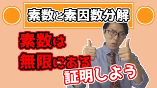 【高校数学】素数と素因数分解～素数の基礎と無限にある証明～ 52【数学A】 [upl. by Hplodnar330]