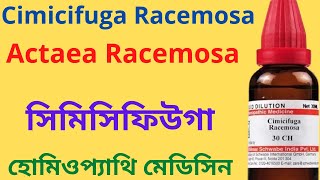 Cimicifuga Homeopathic Medicine Explain cimicifuga racemosa Actaea Racemosa  একটিয়া রেসিমোসা [upl. by Adnohsak]