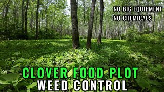 Food Plot Weed Control [upl. by Erreip]