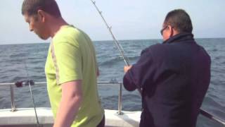 Conger Fishing from Brighton Marina on Grey Viking II  90lb Conger Eel [upl. by Nylecyoj896]