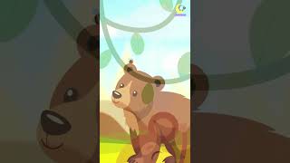 Safari Song kidssong animals kidsvideo lambtales nurseryrhymes [upl. by Essirehc]