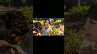 Japanning so cute girl video hardenu pany funny vlog ratankarki japan funnymemepicture vlog [upl. by Slaby]