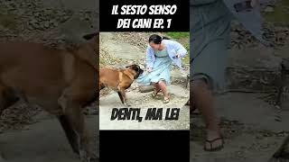 IL SESTO SENSO DEI CANI EP 1 [upl. by Rafaelia233]