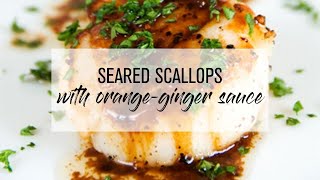 Seared Scallops with OrangeGinger Sauce [upl. by Ahseei]