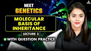 Genetics  Molecular Basis of Inheritance class 12  L 3  Complete Genetics Revision for NEET 2025 [upl. by Sennahoj]