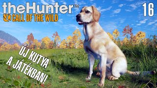 theHunter Call of the Wild LIVE 16  ITT AZ ÚJ KUTYA Nézzük mire képes [upl. by Aseneg909]