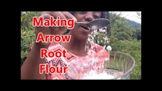 HOW TO MAKE ARROWROOT FLOUR Making Arrowroot Flour  Country Living [upl. by Atekihs]