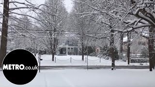 Heavy snowfall in Pennsylvania  Metrocouk [upl. by Alacim984]