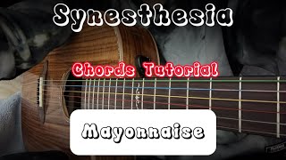 Synesthesia  Mayonnaise Guitar Chords Tutorial [upl. by Horlacher]