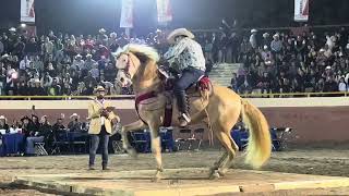 🐴 CABALLOS BAILADORES 🎡 FERIA GANADERA DE CULIACÁN 💯 [upl. by Wein480]