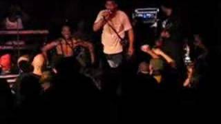 Fishbone Funk Live  The Dame [upl. by Huckaby854]