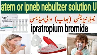 atem nebulizer solution  ipratropium bromide nebulizer how to use salbutamol respiratory soltion [upl. by Axel559]