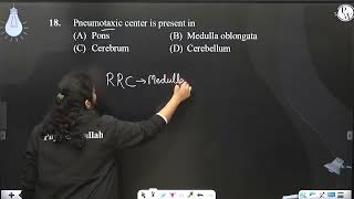 Pneumotaxic center is present in [upl. by Sileas635]