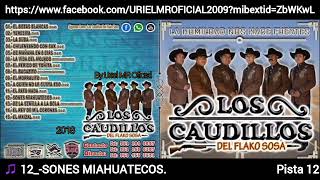 LOS CAUDILLOS DEL FLAKO SOSA  SONES MIAHUATECOS  AUDIO OFICIAL [upl. by Delos]