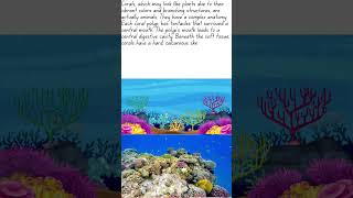 quotCoral reefs are animals not plantsquot [upl. by Naxela]