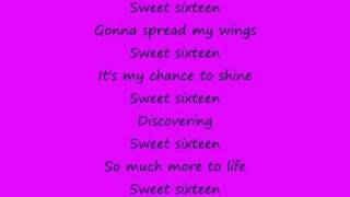 sweet sixteen  lyrics [upl. by Mlehliw]