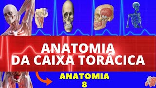 CAIXA TORÁCICA ESTERNO COSTELAS e CARTILAGENS COSTAIS ANATOMIA [upl. by Natie840]