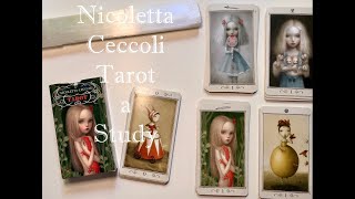 Nicoletta Ceccoli Tarot  a study [upl. by Ecaidnac]