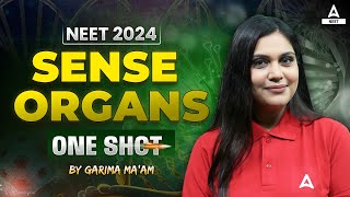 Sense Organs One Shot  Neural Control and Coordination  NEET 2024 Biology  Garima Goel [upl. by Castora1]