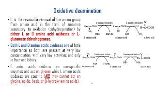 Amino acids deamination and L glutamate dehydrogenase [upl. by Sidon13]