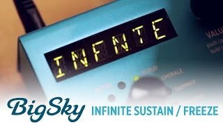 Strymon BigSky Reverb  Infinite Sustain  Freeze demo [upl. by Jarid851]