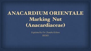 Anacardium Orientale  Allen’s Keynotes  Well Explained [upl. by Richma]