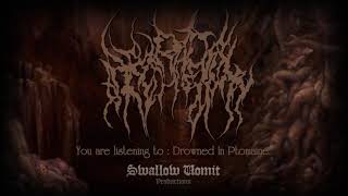 HETERADELPHY  Drowned In Ptomaine Official Track 2018 [upl. by Carlina]