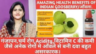 Amlaआँवला।।Emblica officinalis।।आँवला से बनी इस दवा के बड़ेबड़े फ़ायदे।।Health benefits of Amla।। [upl. by Coppins]